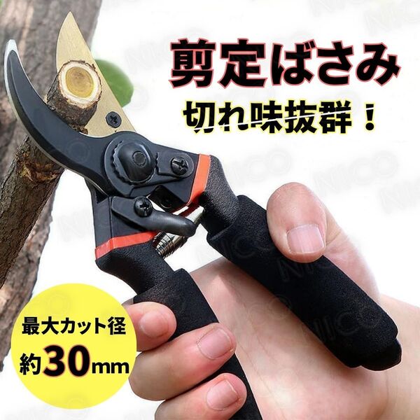剪定ばさみ 園芸ハサミ 枝はさみ ガーデニング 植木 枝切り 庭木 生け花 鋏 庭 ばね グリップ スポンジ 30mm