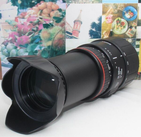 超望遠の世界観を掴み取るシグマ 70-300mmペンタックス用