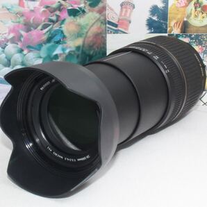 標準から超望遠まで1本で対応Nikon用 タムロン 28-300mm