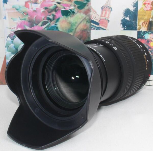 希少品シグマ DC 17-70mm AF ミノルタ & ソニー Aマウント