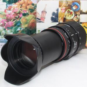 ど迫力の超望遠レンズシグマ 70-300mm ソニー aマウント用