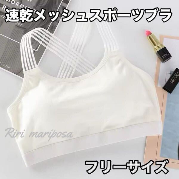 速乾メッシュ*レーシーストライプスポーツブラ白ブラトップ ヨガブラ ヨガウェア ジム ダンス スポブラ ノンワイヤー