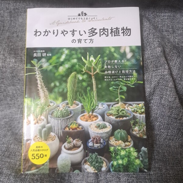 はじめてでもうまくいく!わかりやすい多肉植物の育て方