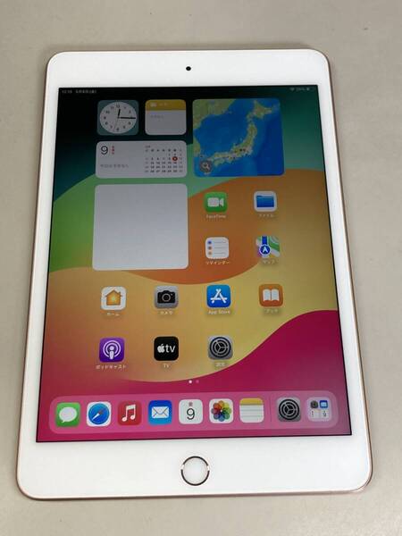 送料無料 美品 電池86% apple iPad mini (第5世代) Wi-Fi 64GB ゴールド