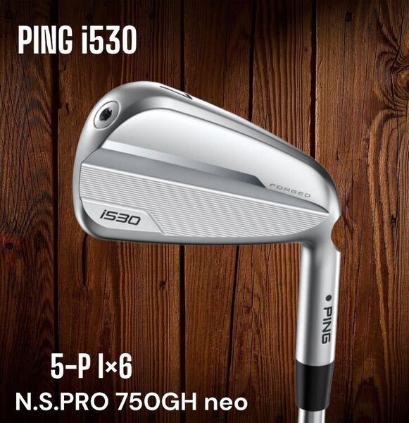 PING ピン i530 アイアン 5-P 6本セット N.S.PRO 750GH neo