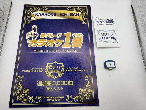 カラオケ 1番 Bカートリッジ B レア 夢グループ 追加曲 3000曲 限定 カラオケ一番