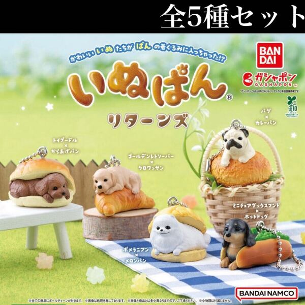 ■送料無料■ いぬぱん リターンズ 全5種セット /犬/イヌ/ボールチェーン付き/ミニチュア/フィギュア/コレクション/ガチャ