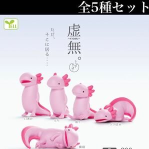 ■送料無料■ 虚無。 ウーパールーパー 全5種セット /うーぱーるーぱー/ミニチュア/フィギュア/コレクション/ガチャ