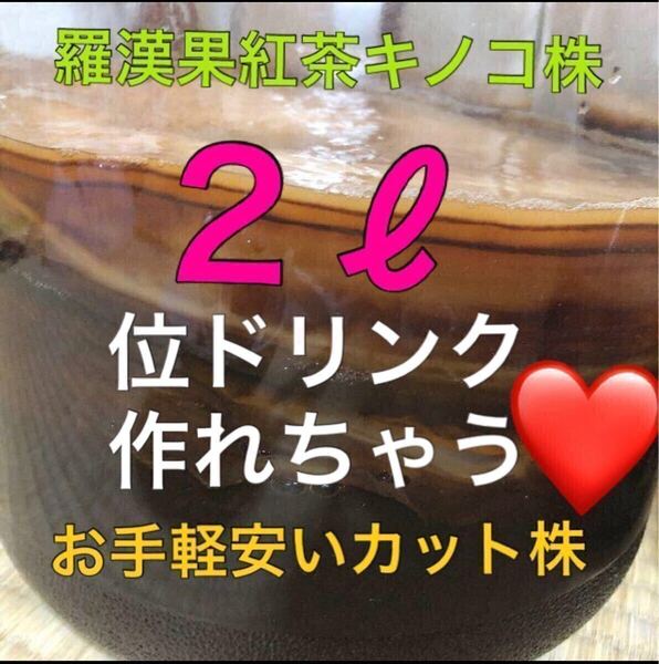 今だけお買い得!どれがあたるかはお任せの為お買い得◎ 羅漢果紅茶キノコ株80g以上に 自家製のコンブチャ作り♪ マザー株 種菌