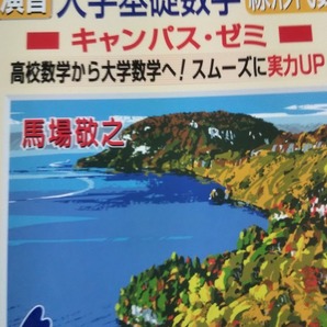 マセマ 演習 大学基礎数学 線形代数 キャンパス・ゼミ 馬場敬之