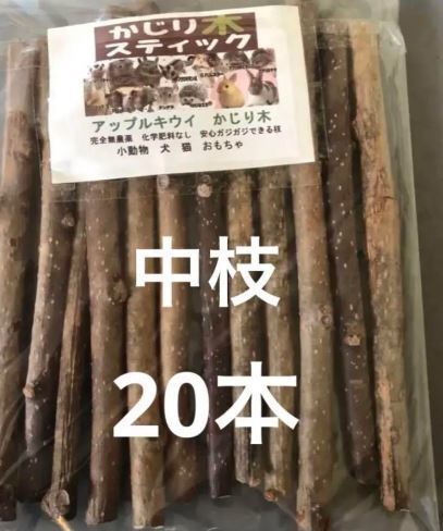 完全無農薬 アップルキウイのかじり木 中枝 0.8cm前後 ロング20cm20本