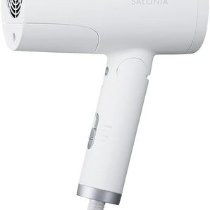 新品未開封 SALONIA サロニア トリートメント ミスト ドライヤー 大風量 速乾 ミストケア 【送料無料】