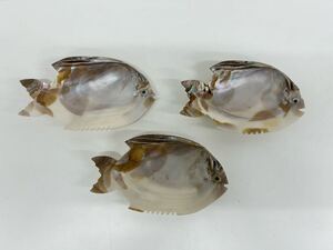 天然貝の魚型お皿 3枚セット(刺身盛り、船盛、お造り、あわび)