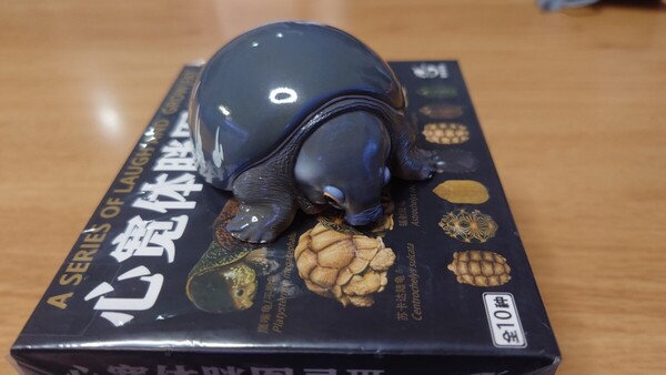 再入荷 動物の惑星フィギュア スッポンモドキ 入手困難!廃盤!新品未開封!! カメ フィギュア