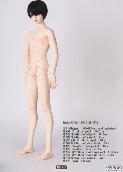 LUTS/SENIOR DELF65 ボディ