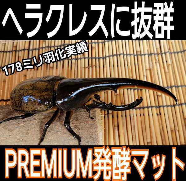 進化した!特選プレミアム3次発酵カブトムシマット【20L】微粒子☆特殊アミノ酸など栄養添加剤を3倍配合した究極のプロ仕様!産卵にも抜群