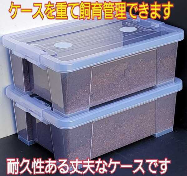 送料無料☆ケースとセット販売☆便利!カブト幼虫を入れるだけ!極上プレミアム発酵マット10リットル入!栄養添加剤3倍配合!巨大化します