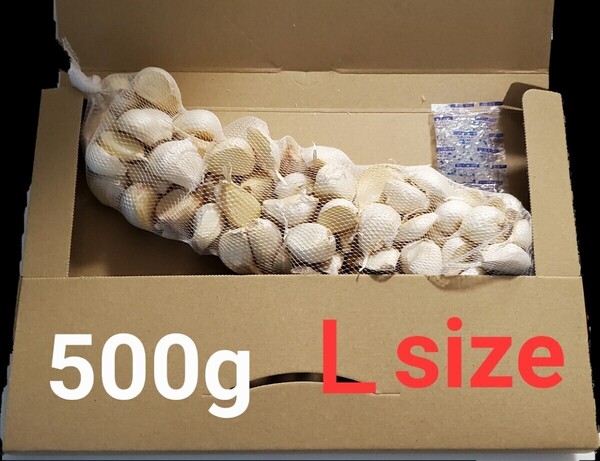 令和6年度 青森県産 Lsize 500g にんにく福地ホワイト六片