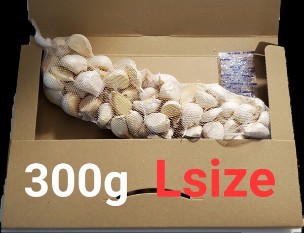 令和6年度 青森県産 Lsize 300g にんにく福地ホワイト六片 おおつぶ