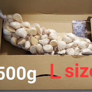 令和6年度 青森県産 Lsize 500g にんにく福地ホワイト六片