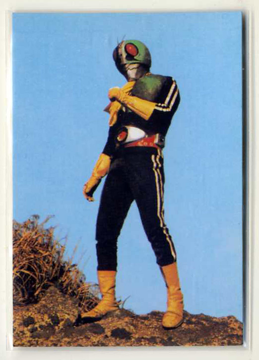 Yahoo!オークション -「2003カルビー仮面ライダーカード」の落札