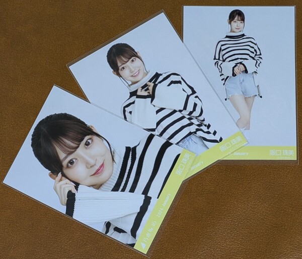 乃木坂46 阪口珠美 ルーズソックス Web限定 生写真 3種 2024.January コンプ