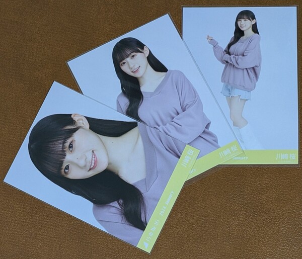 乃木坂46 川﨑桜 ルーズソックス Web限定 生写真 3種 2024.January コンプ