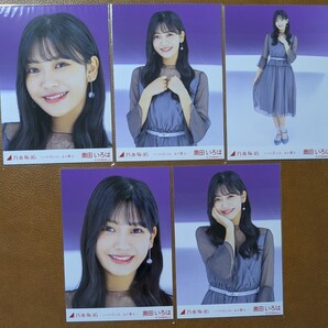 乃木坂46 奥田いろは いつの日にか、あの歌を Web限定 生写真 個別 5種コンプ