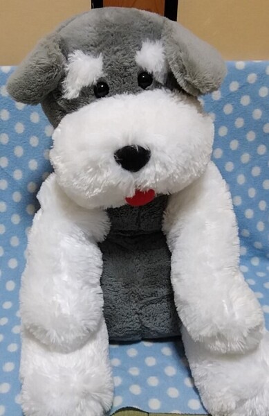 ptb【中古】 くったりシュナウザー ナチュラル BIGサイズ ぬいぐるみ 犬