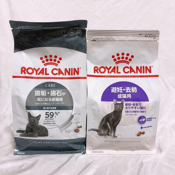 猫まっしぐら ロイヤルカナン 猫 避妊去勢 と デンタルケア 400g1袋ずつ #鍵しっぽネコの森キャットフード