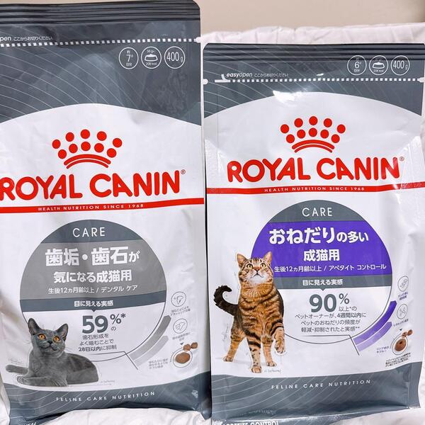 猫まっしぐら ロイヤルカナン 猫 おねだりの多い と デンタルケア 400g1袋ずつ #鍵しっぽネコの森キャットフード