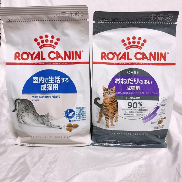 猫まっしぐら ロイヤルカナン 猫 アペタイトおねだり と インドア 400g 1袋ずつ #鍵しっぽネコの森キャットフード