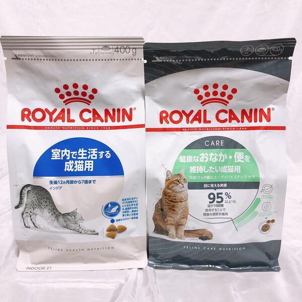 猫まっしぐら ロイヤルカナン 健康的なおなか維持 と 成猫インドア キャットフード #鍵しっぽネコの森キャットフード
