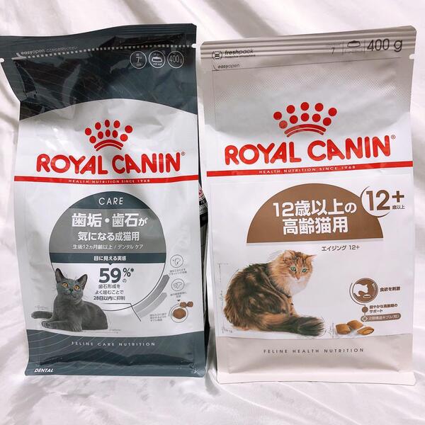 猫まっしぐら ロイヤルカナン 猫 エイジング 12+ と デンタルケア(旧オーラル) #鍵しっぽネコの森キャットフード
