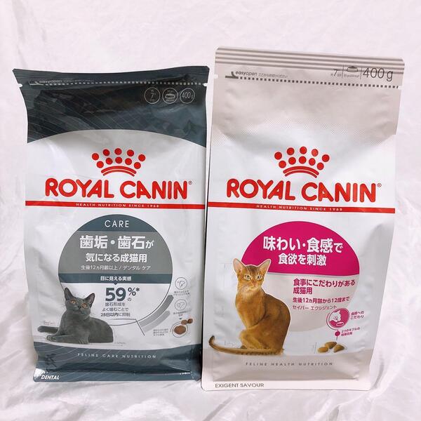 猫まっしぐら ロイヤルカナン 猫 デンタル と 味わい食感 400g1袋ずつ #鍵しっぽネコの森キャットフード