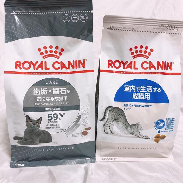 猫まっしぐら ロイヤルカナン 猫 デンタルケア インドア 400g1袋ずつ #鍵しっぽネコの森キャットフード