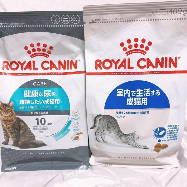 猫まっしぐら ロイヤルカナン 猫 インドア成猫と 健康的な尿 400g1袋ずつ キャットフード #鍵しっぽネコの森キャットフード