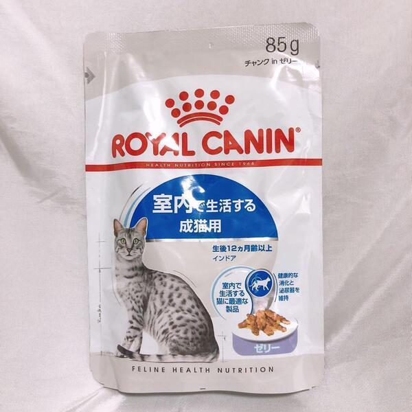 猫まっしぐら ロイヤルカナン 猫 インドア ゼリー室内で生活するウェット 成猫 85g 19個 #鍵しっぽネコの森キャットフード