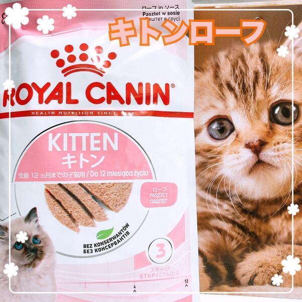 猫まっしぐら ロイヤルカナン 子猫 キトン ローフ 85g19個 キャット #鍵しっぽネコの森キャットフード