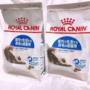 猫まっしぐら ロイヤルカナン 猫 キャットフード インドア 室内 長毛用 #鍵しっぽネコの森キャットフード