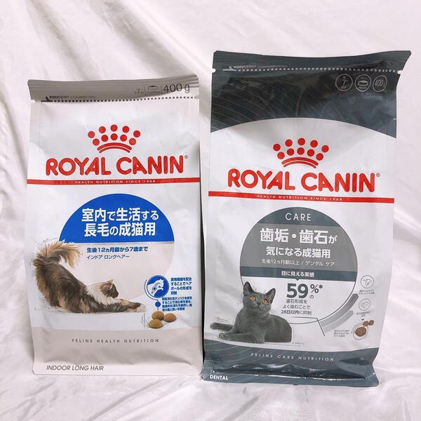 猫まっしぐら ロイヤルカナン 猫 長毛ロングヘアー と デンタルケア 400g1袋ずつ #鍵しっぽネコの森キャットフード
