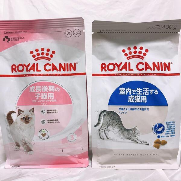 猫まっしぐら 子猫卒業 ロイヤルカナン 猫 子猫後期 と インドア 400g1袋ずつ #鍵しっぽネコの森キャットフード