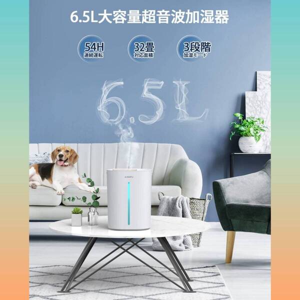 加湿器 卓上 加湿量最大300ml/h 6.5L 超音波式 次亜塩素酸水対応