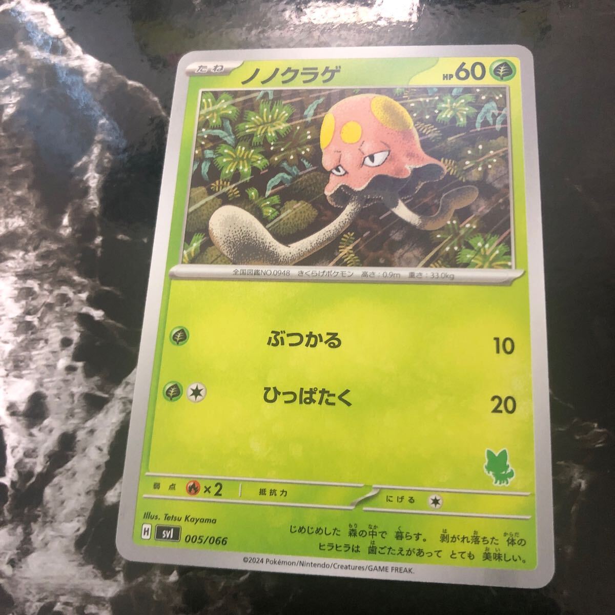 ポケモン バトルアカデミー 未開封　海外版 ニャオハex バトルアカデミー 海外版 英語版 ポケモンカード