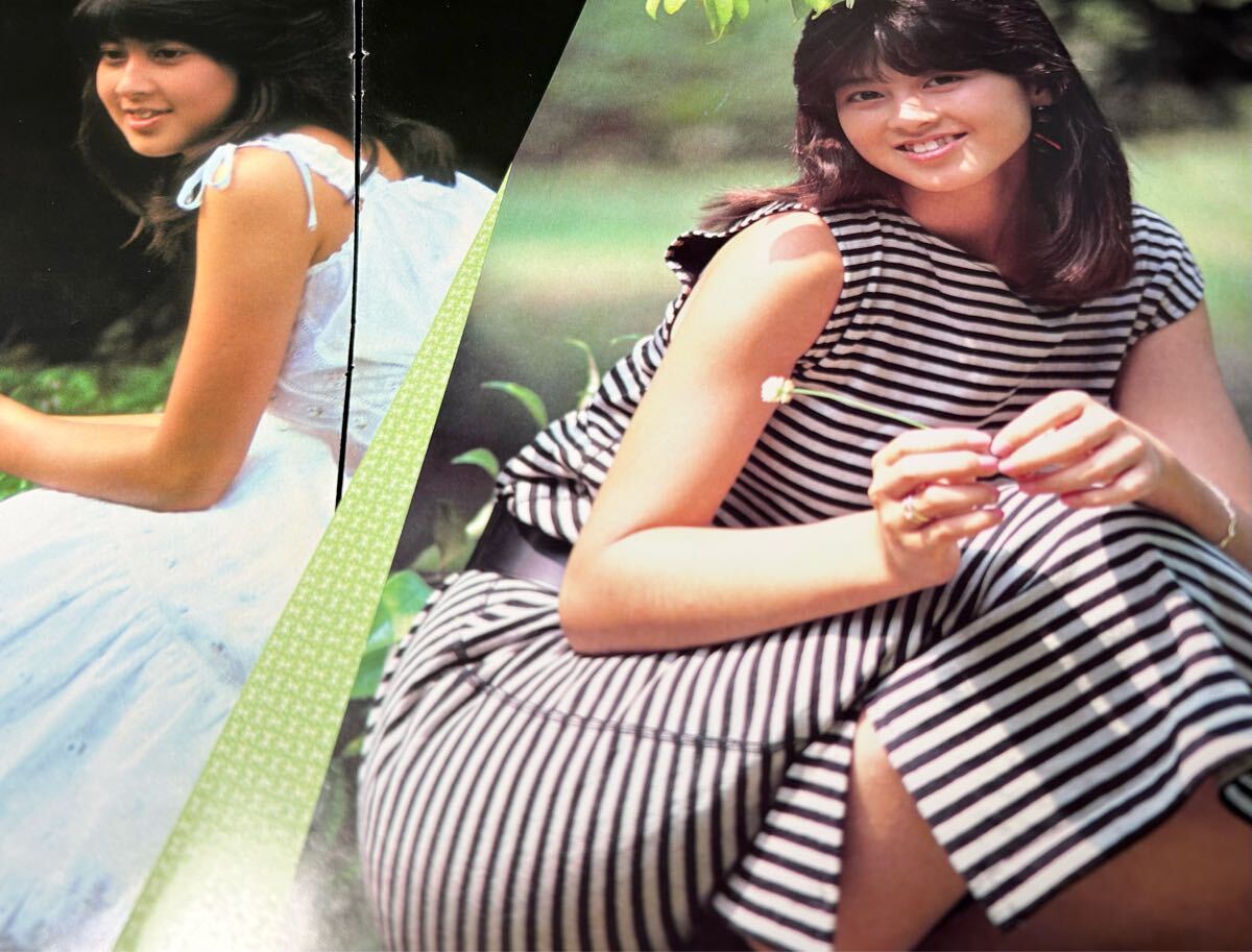 2025年最新】Yahoo!オークション -森尾由美(切り抜き)の中古品