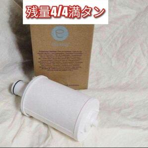 Amway eSpeing 2 アムウェイ 浄水器フィルター カートリッジ↓