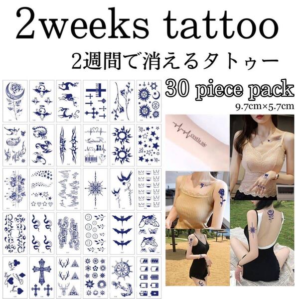 【D】ミニジャグアタトゥー30枚セット 2週間で消えるタトゥー イベント サンナミタトゥーシール