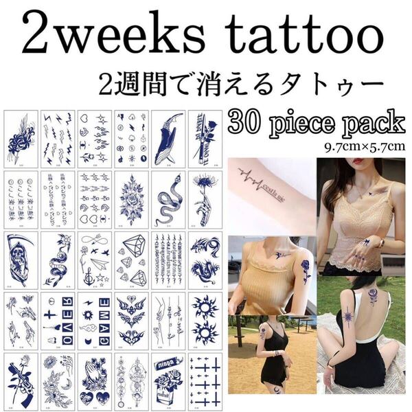 【E】ミニジャグアタトゥー30枚セット 2週間で消えるタトゥー イベント サンナミタトゥーシール