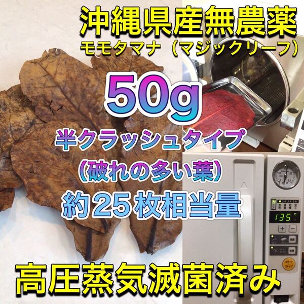 高圧蒸気滅菌済み沖縄県産無農薬モモタマナ(マジックリーフ)半クラッシュ(破れの多い葉)50g(20cm前後の葉が約25枚相当)