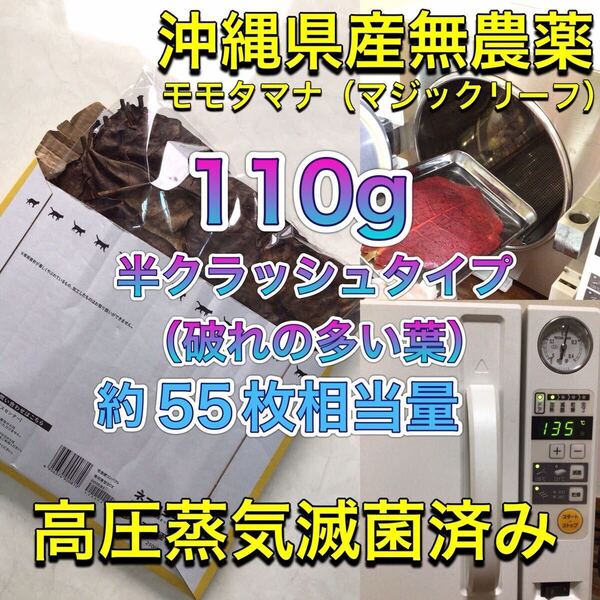 高圧蒸気滅菌済み沖縄県産無農薬モモタマナ(マジックリーフ)半クラッシュ(破れの多い葉)110g(20cm前後の葉約55枚相当)